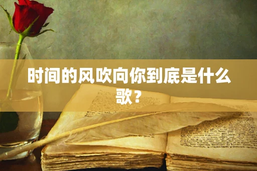 时间的风吹向你到底是什么歌？