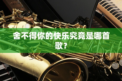 舍不得你的快乐究竟是哪首歌？
