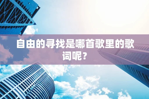 自由的寻找是哪首歌里的歌词呢？