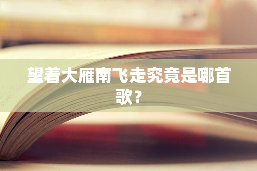望着大雁南飞走究竟是哪首歌？