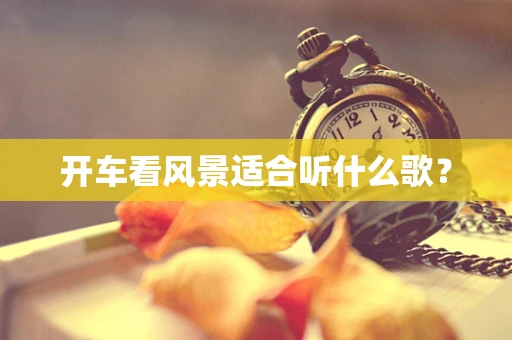 开车看风景适合听什么歌？