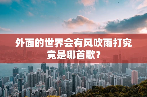 外面的世界会有风吹雨打究竟是哪首歌？