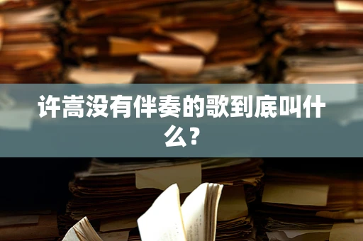 许嵩没有伴奏的歌到底叫什么？
