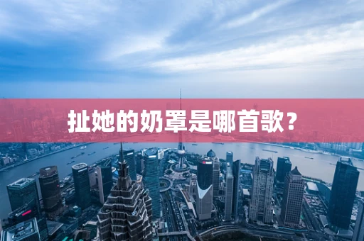 扯她的奶罩是哪首歌？