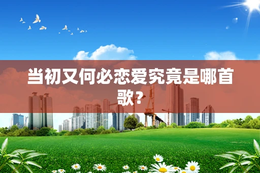 当初又何必恋爱究竟是哪首歌？
