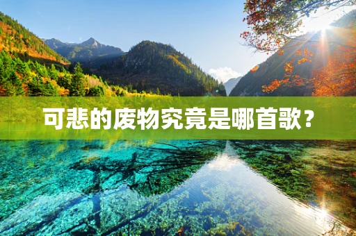 可悲的废物究竟是哪首歌？