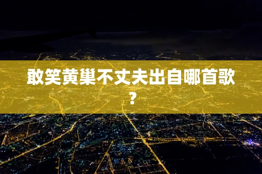 敢笑黄巢不丈夫出自哪首歌？