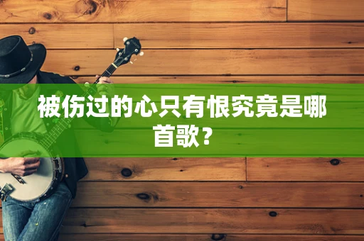 被伤过的心只有恨究竟是哪首歌？