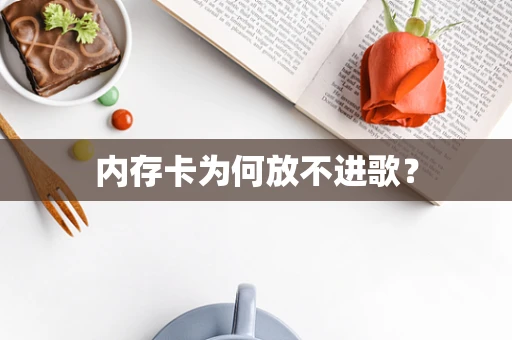 内存卡为何放不进歌？