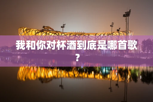 我和你对杯酒到底是哪首歌？