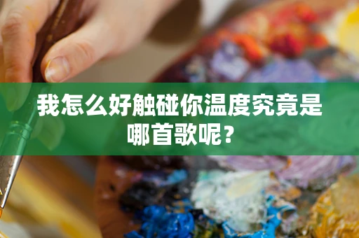 我怎么好触碰你温度究竟是哪首歌呢？