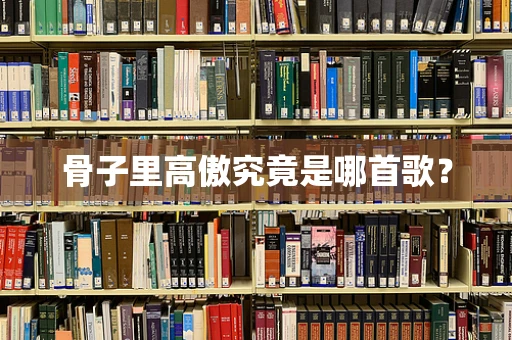 骨子里高傲究竟是哪首歌？