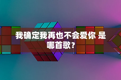 我确定我再也不会爱你 是哪首歌？