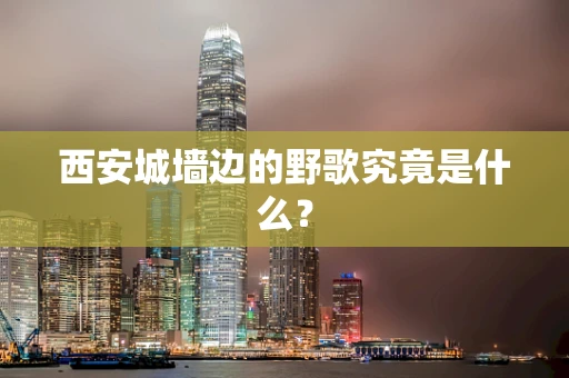 西安城墙边的野歌究竟是什么？