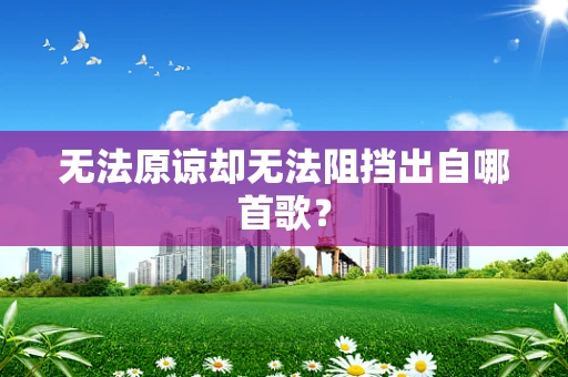 无法原谅却无法阻挡出自哪首歌？