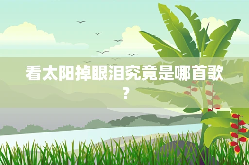 看太阳掉眼泪究竟是哪首歌？