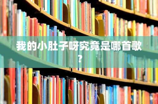 我的小肚子呀究竟是哪首歌？
