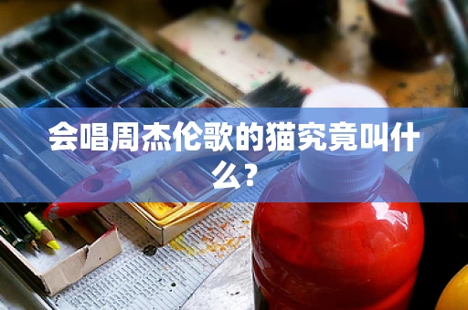 会唱周杰伦歌的猫究竟叫什么？