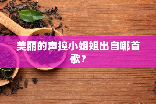 美丽的声控小姐姐出自哪首歌？