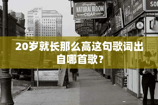 20岁就长那么高这句歌词出自哪首歌？