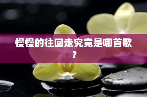 慢慢的往回走究竟是哪首歌？