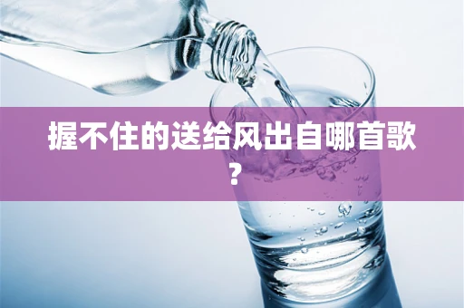 握不住的送给风出自哪首歌？