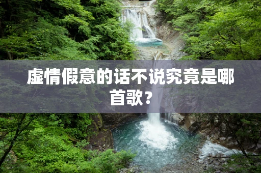 虚情假意的话不说究竟是哪首歌？