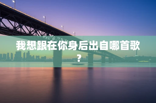 我想跟在你身后出自哪首歌？