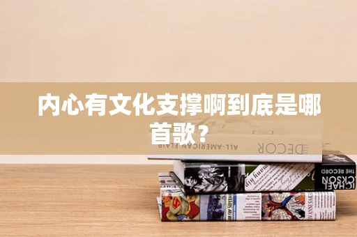 内心有文化支撑啊到底是哪首歌？