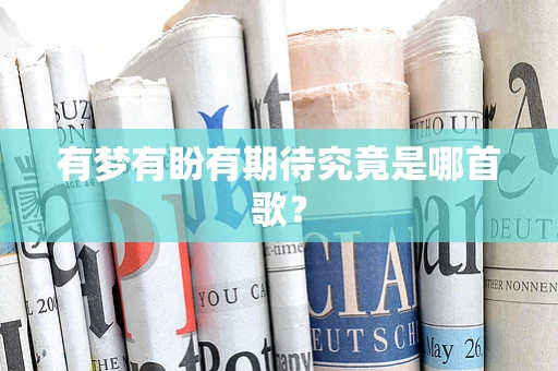 有梦有盼有期待究竟是哪首歌？