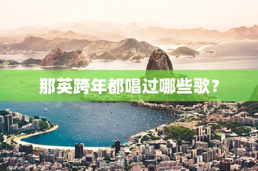 那英跨年都唱过哪些歌？