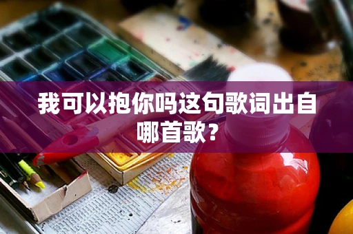 我可以抱你吗这句歌词出自哪首歌？