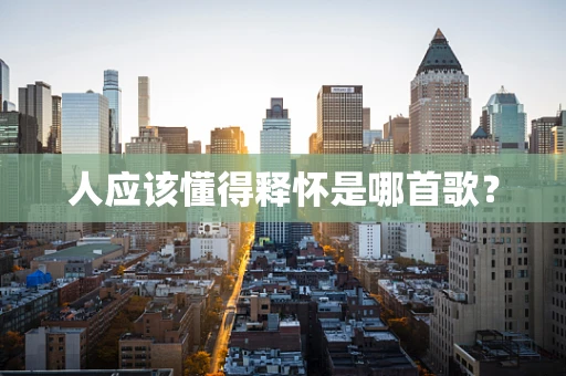 人应该懂得释怀是哪首歌？