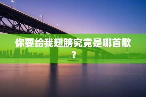 你要给我翅膀究竟是哪首歌？