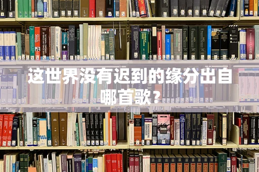 这世界没有迟到的缘分出自哪首歌？