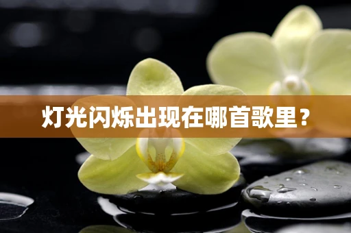 灯光闪烁出现在哪首歌里？