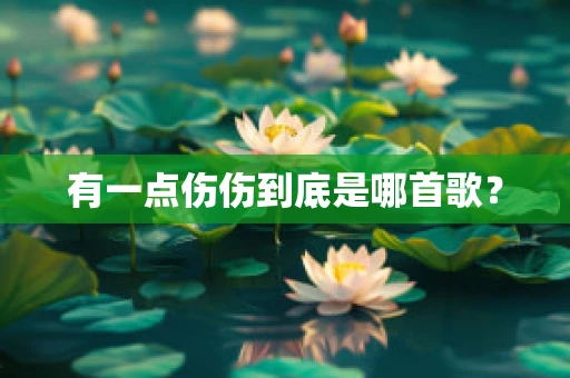 有一点伤伤到底是哪首歌？