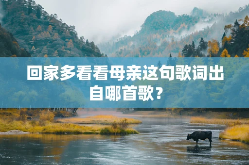 回家多看看母亲这句歌词出自哪首歌？