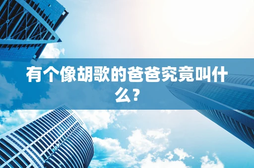 有个像胡歌的爸爸究竟叫什么？