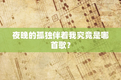 夜晚的孤独伴着我究竟是哪首歌？