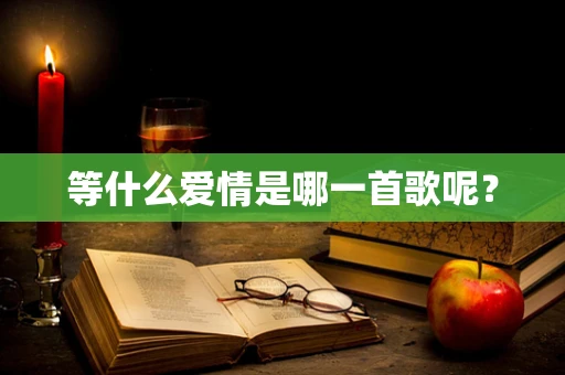 等什么爱情是哪一首歌呢？