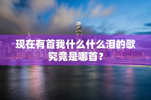 现在有首我什么什么泪的歌究竟是哪首？