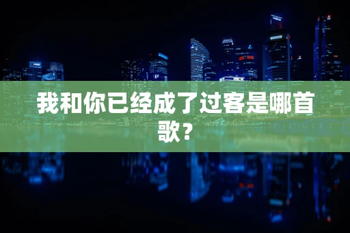 我和你已经成了过客是哪首歌？