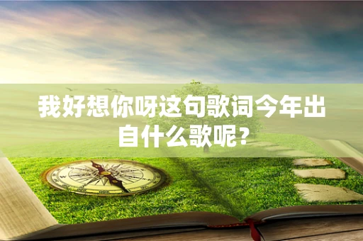 我好想你呀这句歌词今年出自什么歌呢？
