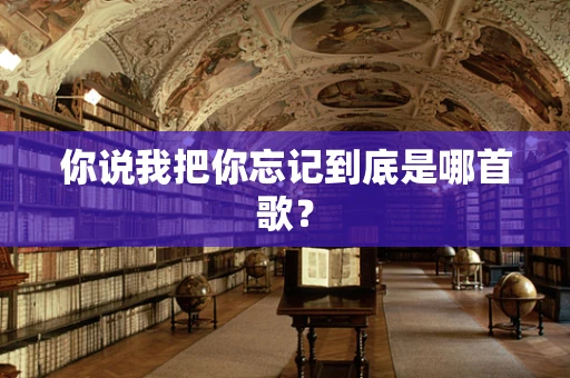你说我把你忘记到底是哪首歌？
