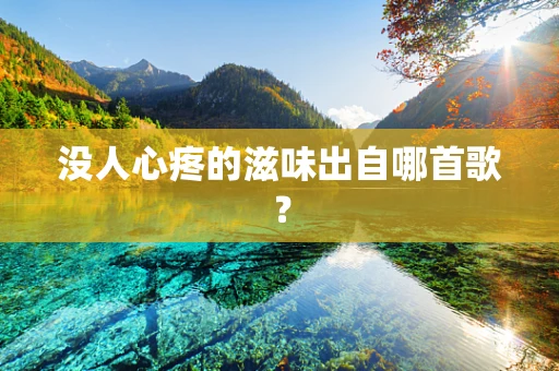 没人心疼的滋味出自哪首歌？