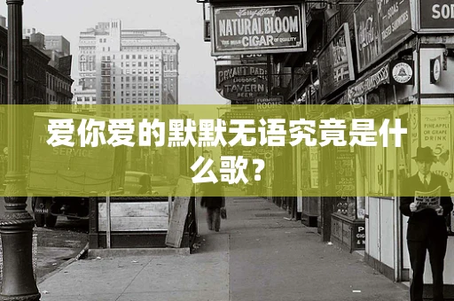 爱你爱的默默无语究竟是什么歌？