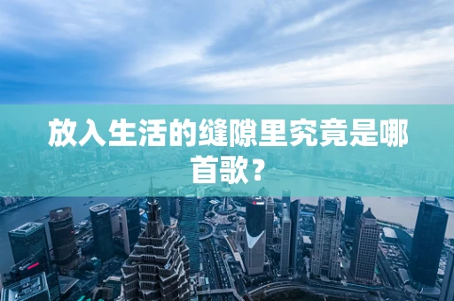 放入生活的缝隙里究竟是哪首歌？