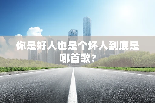 你是好人也是个坏人到底是哪首歌？