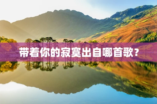 带着你的寂寞出自哪首歌？